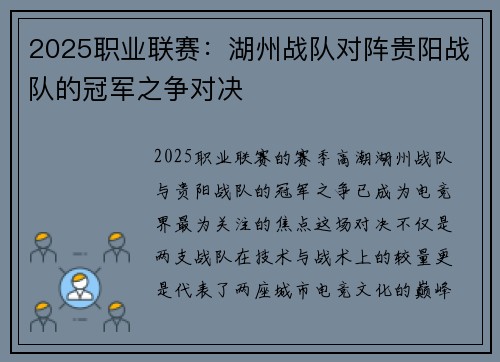 2025职业联赛：湖州战队对阵贵阳战队的冠军之争对决